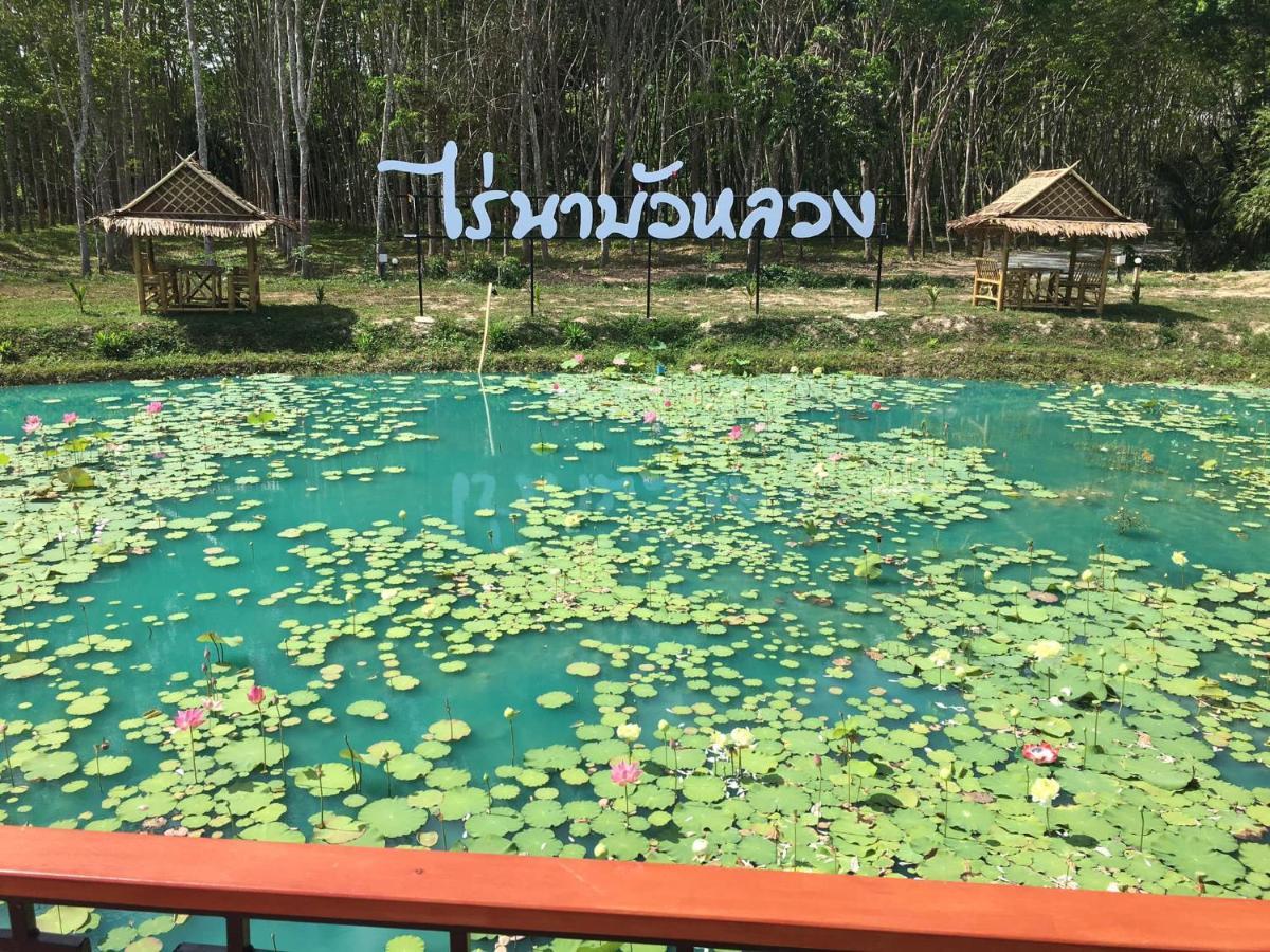 ไร่นาบัวหลวง คาเฟ่ & ฟาร์มสเตย์ Raina Bualuang Cafe & Farm Stay Ban Na No ภายนอก รูปภาพ