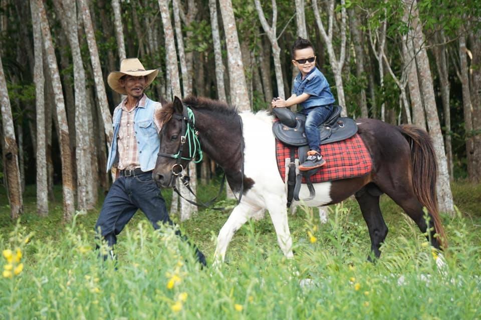 ไร่นาบัวหลวง คาเฟ่ & ฟาร์มสเตย์ Raina Bualuang Cafe & Farm Stay Ban Na No ภายนอก รูปภาพ