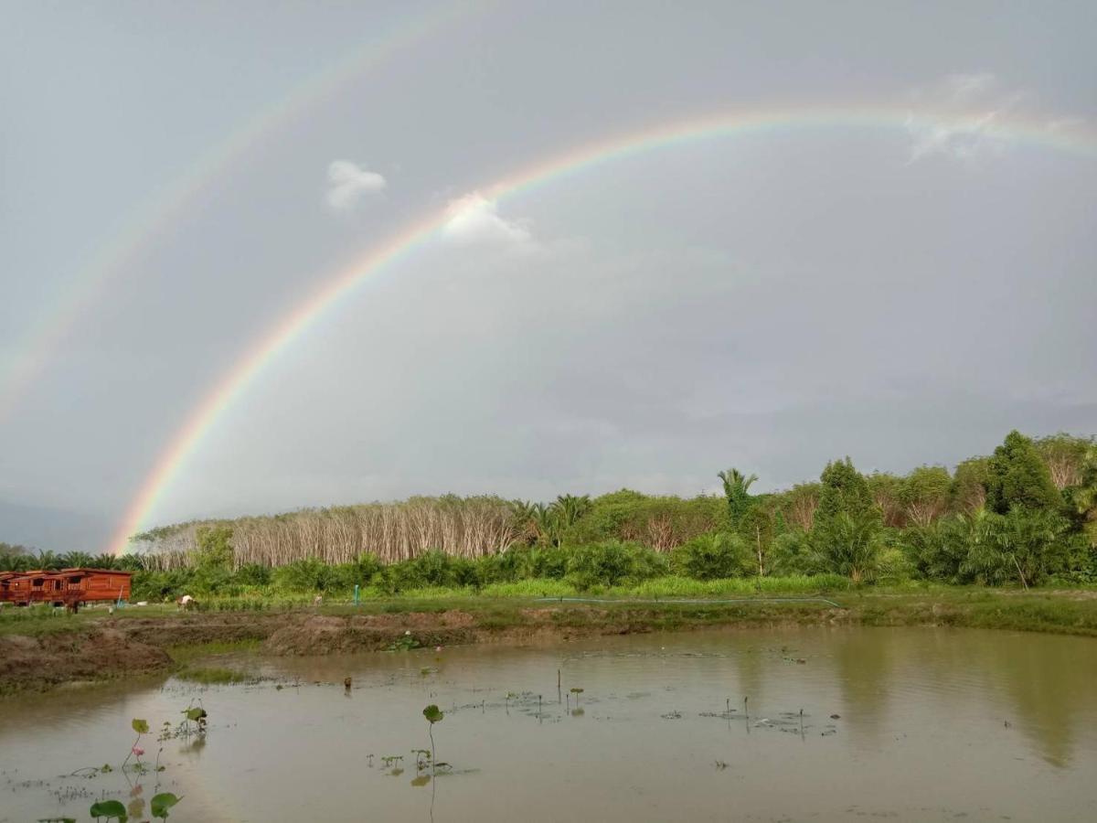 ไร่นาบัวหลวง คาเฟ่ & ฟาร์มสเตย์ Raina Bualuang Cafe & Farm Stay Ban Na No ภายนอก รูปภาพ