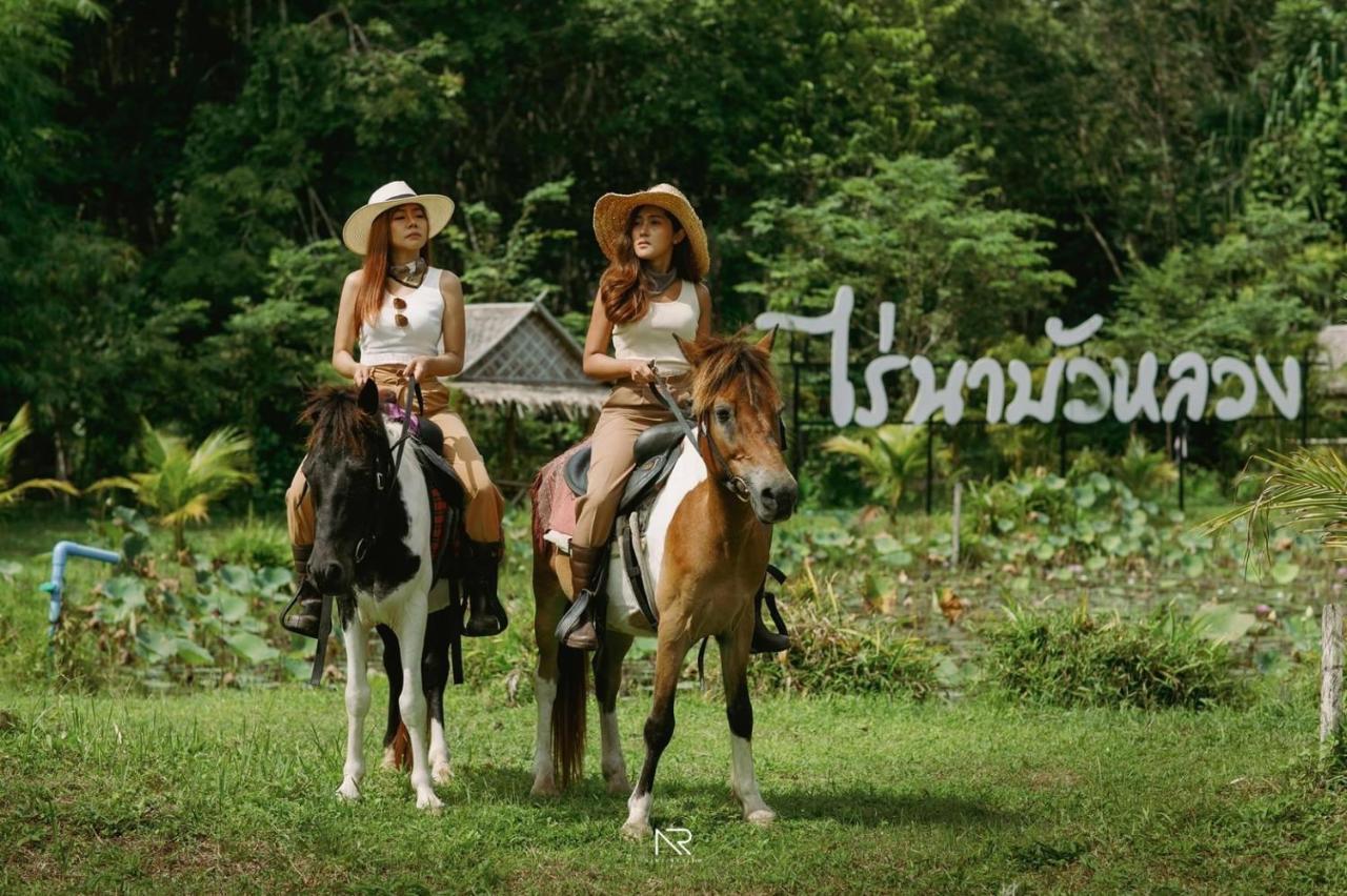 ไร่นาบัวหลวง คาเฟ่ & ฟาร์มสเตย์ Raina Bualuang Cafe & Farm Stay Ban Na No ภายนอก รูปภาพ