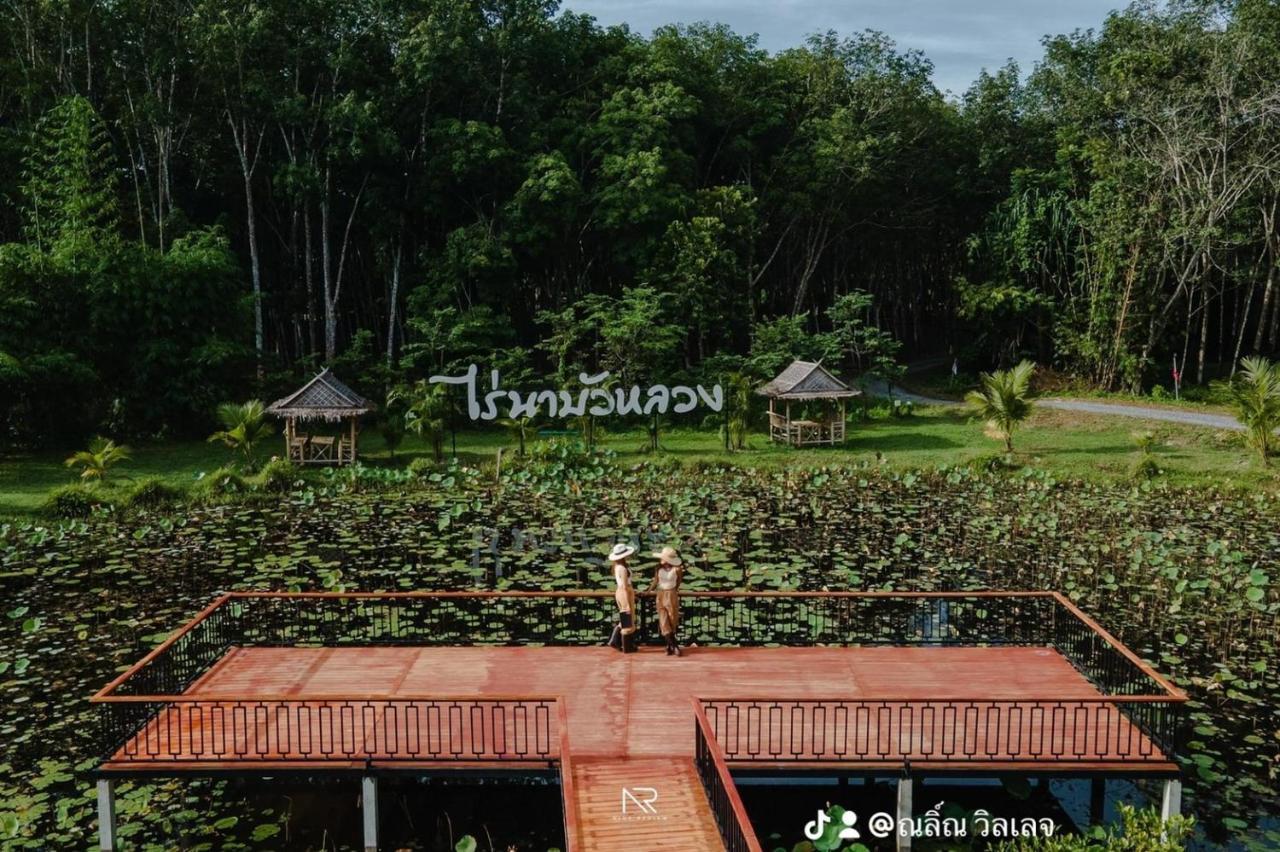 ไร่นาบัวหลวง คาเฟ่ & ฟาร์มสเตย์ Raina Bualuang Cafe & Farm Stay Ban Na No ภายนอก รูปภาพ