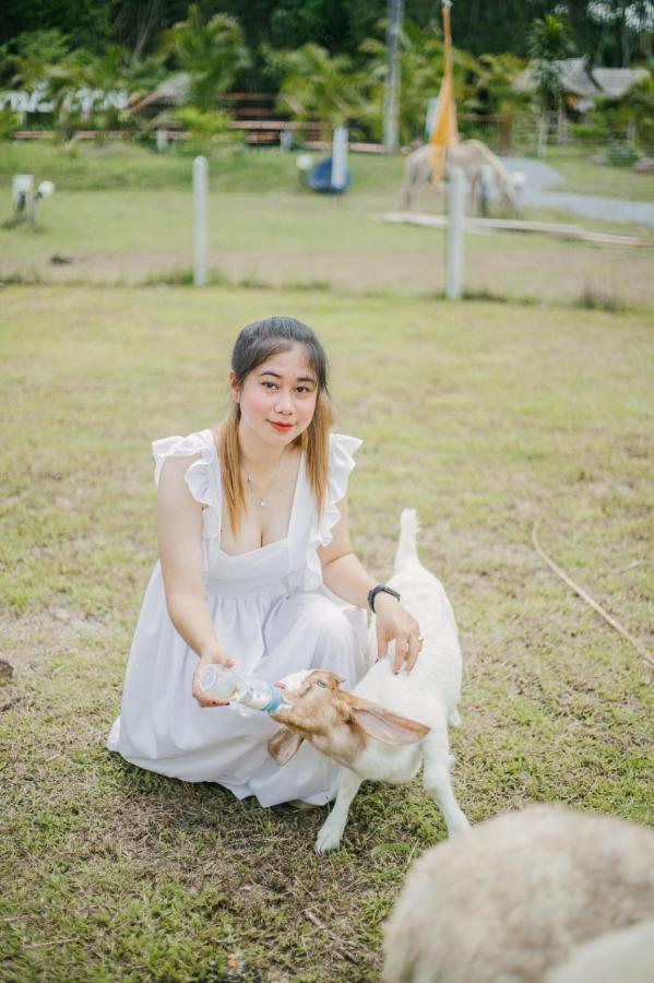 ไร่นาบัวหลวง คาเฟ่ & ฟาร์มสเตย์ Raina Bualuang Cafe & Farm Stay Ban Na No ภายนอก รูปภาพ