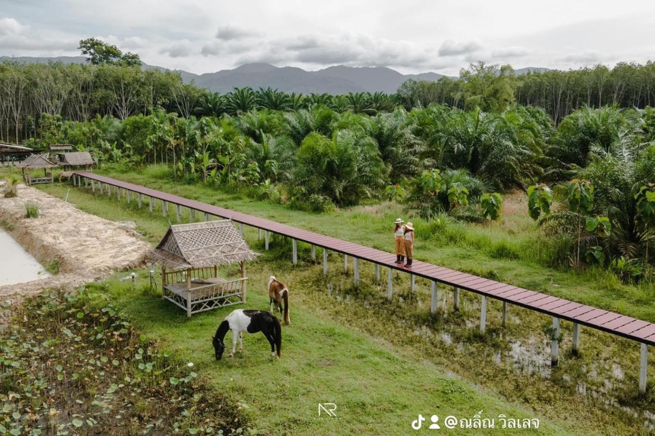 ไร่นาบัวหลวง คาเฟ่ & ฟาร์มสเตย์ Raina Bualuang Cafe & Farm Stay Ban Na No ภายนอก รูปภาพ