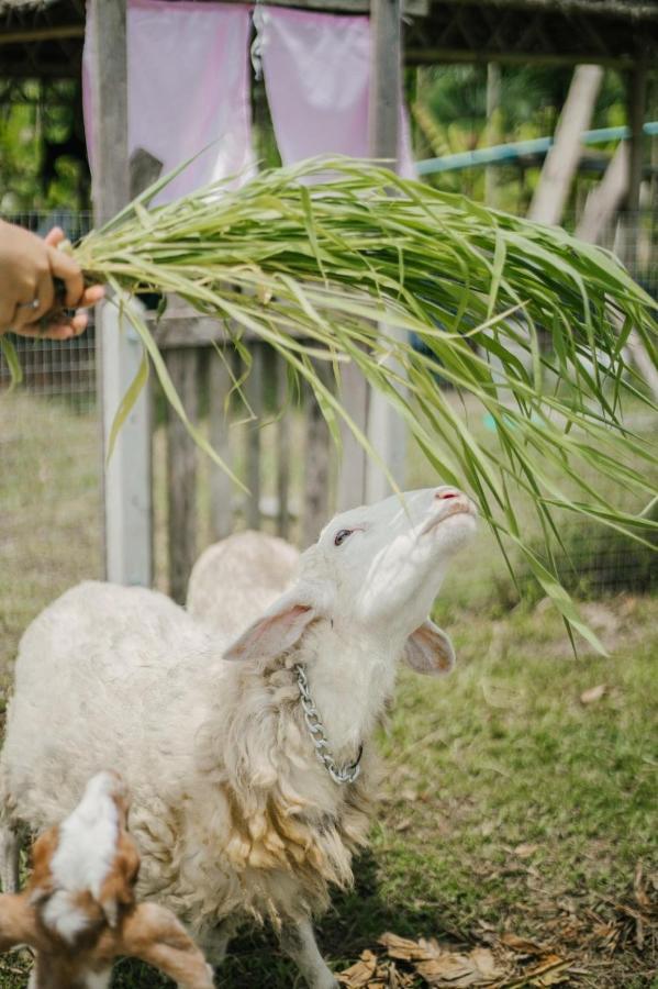 ไร่นาบัวหลวง คาเฟ่ & ฟาร์มสเตย์ Raina Bualuang Cafe & Farm Stay Ban Na No ภายนอก รูปภาพ