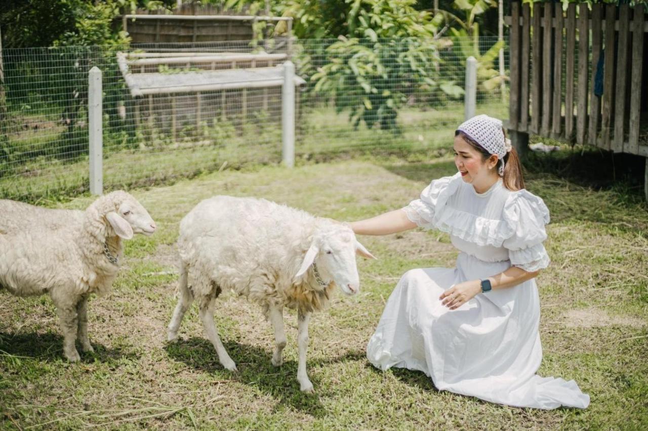 ไร่นาบัวหลวง คาเฟ่ & ฟาร์มสเตย์ Raina Bualuang Cafe & Farm Stay Ban Na No ภายนอก รูปภาพ