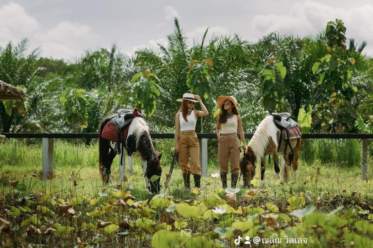 ไร่นาบัวหลวง คาเฟ่ & ฟาร์มสเตย์ Raina Bualuang Cafe & Farm Stay Ban Na No ภายนอก รูปภาพ