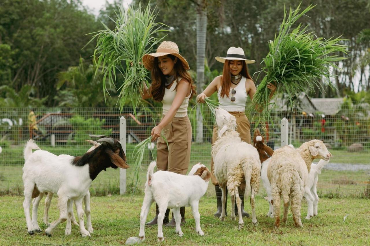 ไร่นาบัวหลวง คาเฟ่ & ฟาร์มสเตย์ Raina Bualuang Cafe & Farm Stay Ban Na No ภายนอก รูปภาพ